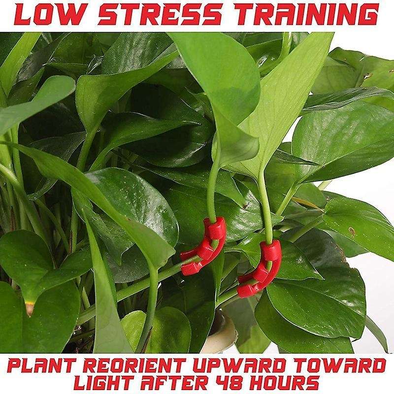 Plant Bending Trainer for Low Stress Fixing Clip Plant Bender -a