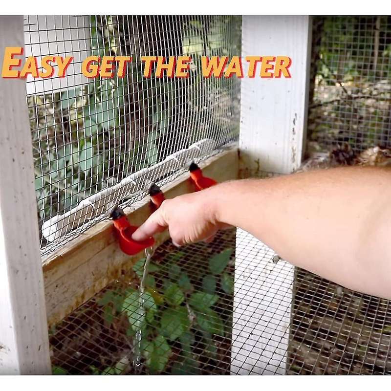 Chicken Waterer Cups, Chicken Waterer for Chicken Ducks Quail 4pcs