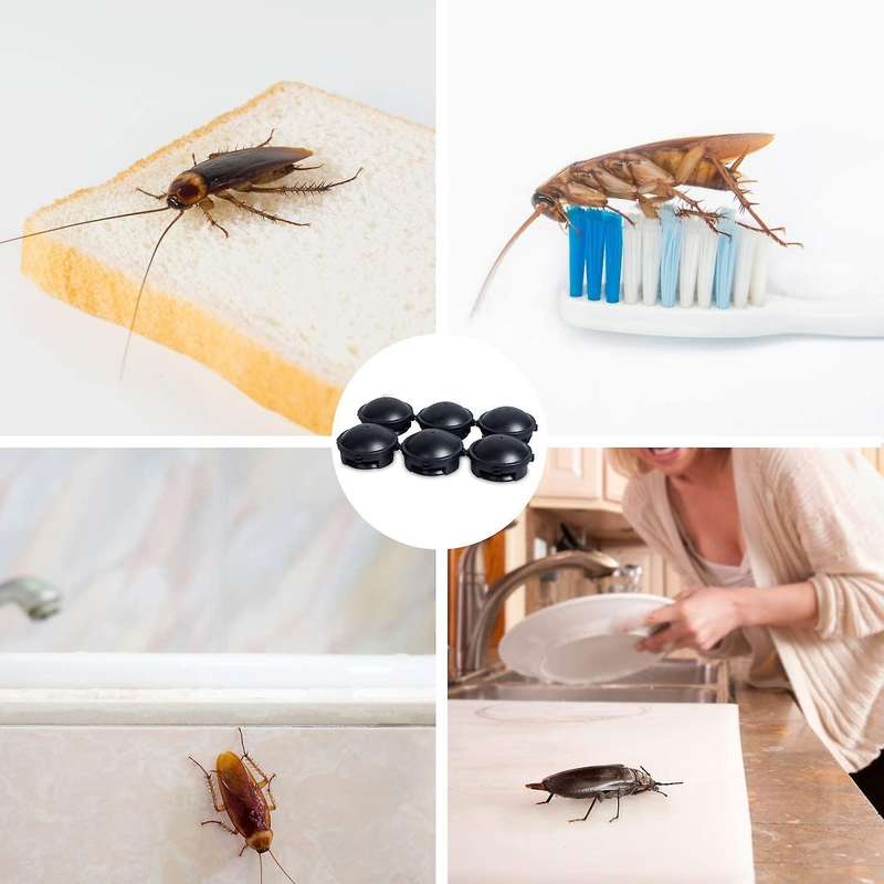 Roach Traps,cockroach Killer Indoor Home,roach Bait Station,12 Count