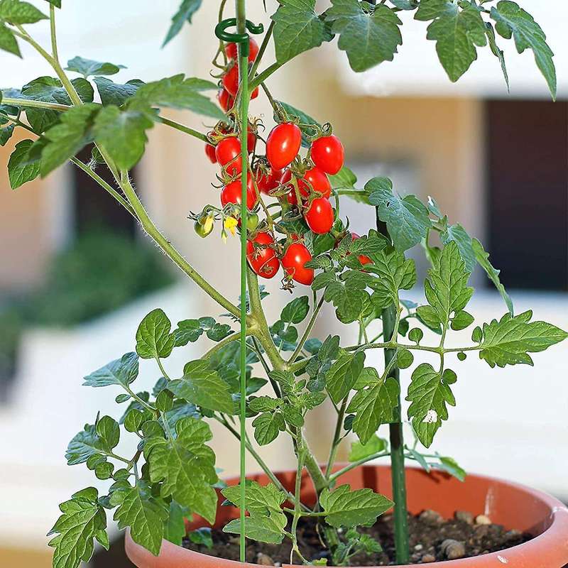 Plant Support Garden Flower Support with A Stem for Climbing Mesh