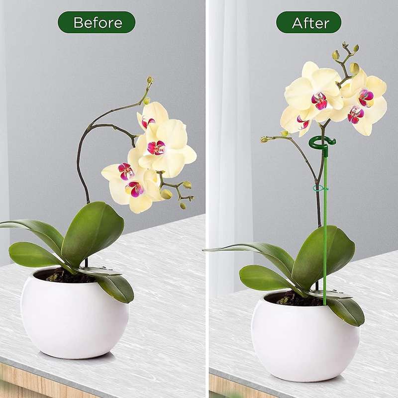 Plant Support Garden Flower Support with A Stem for Climbing Mesh