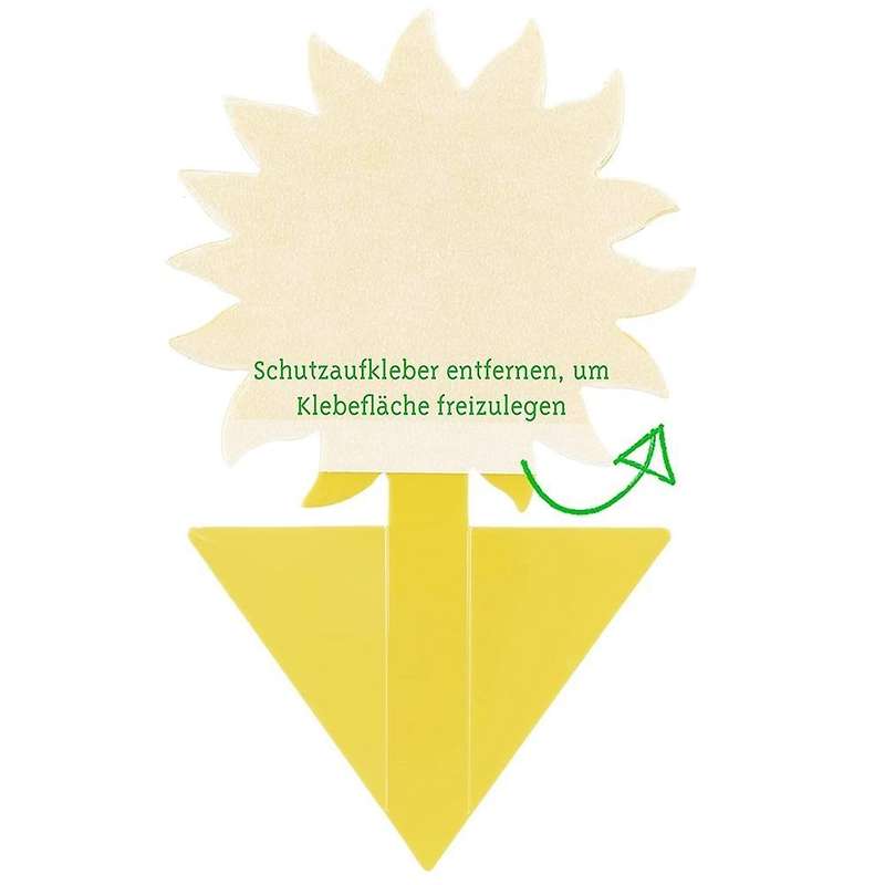 Yellow Sticker Gnats: 60 X Insecticide-free Adhesive Traps
