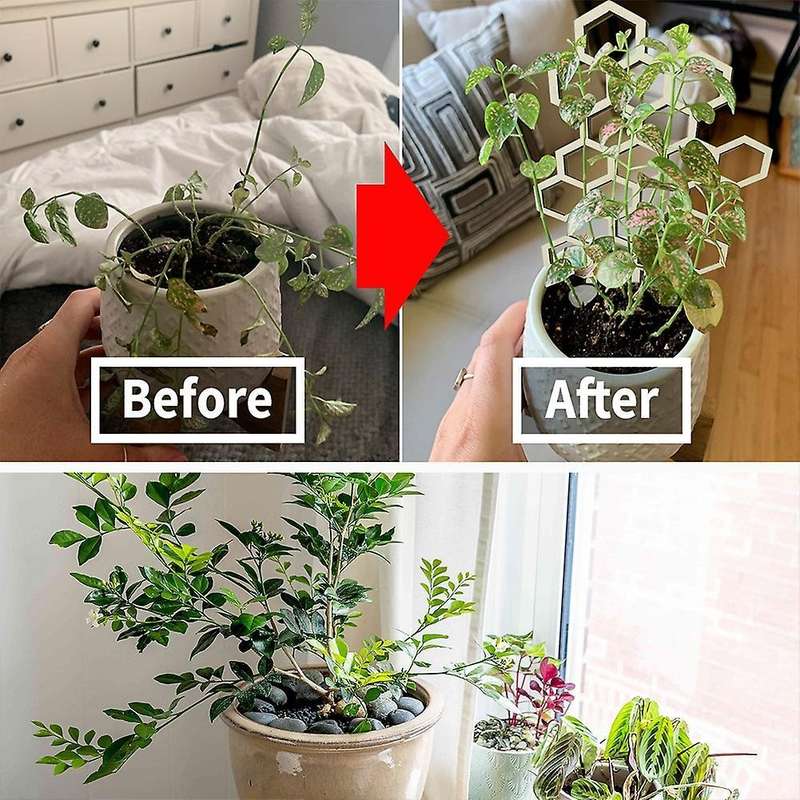 Potted Climbing Frame Plant Holder Strawberry Flower Support Stand B