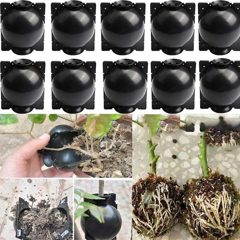 10pcs Plant Rooting Equipment Kit Grafting Rooting Box Breeding Ball
