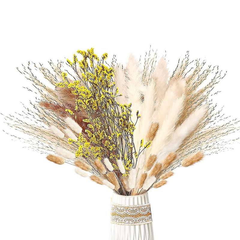 Pampas Grass Dried 46 Piece Set Dried Flowers, Pampas Grass