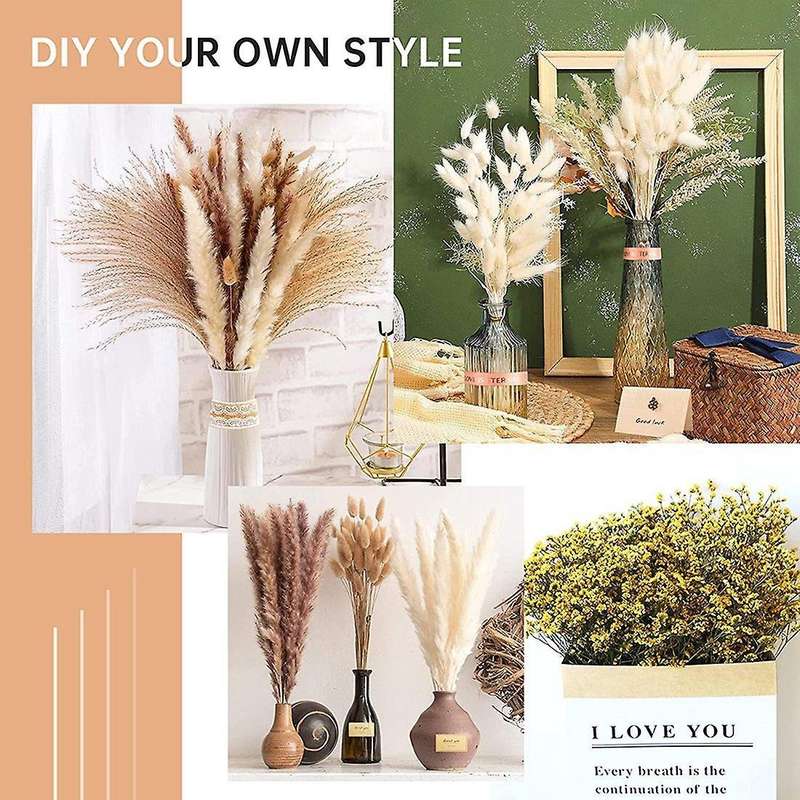 Pampas Grass Dried 46 Piece Set Dried Flowers, Pampas Grass