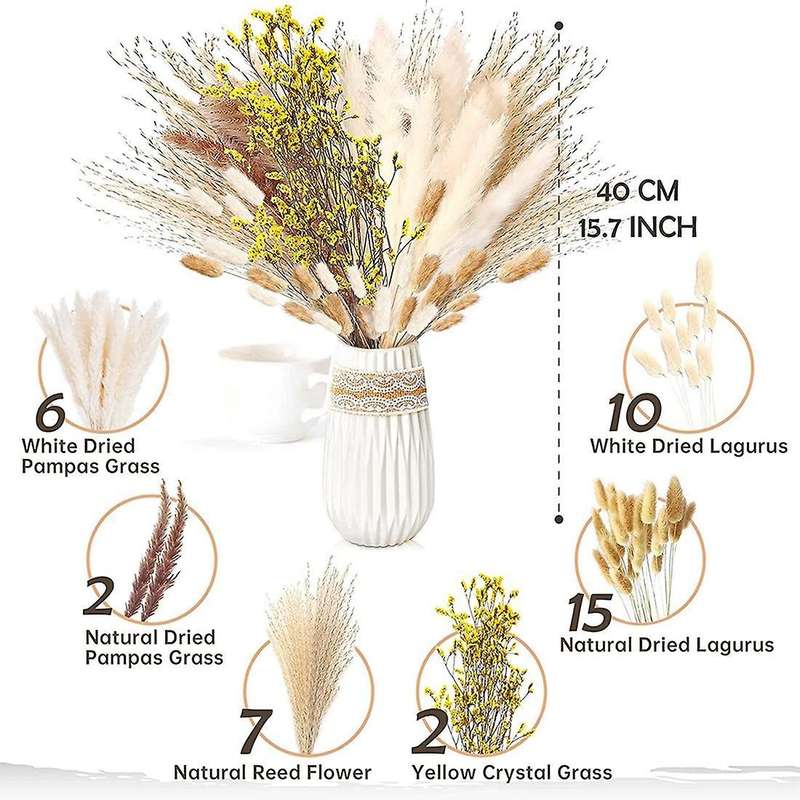 Pampas Grass Dried 46 Piece Set Dried Flowers, Pampas Grass
