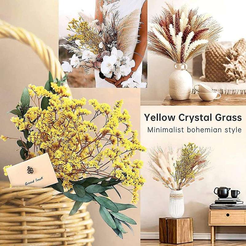 Pampas Grass Dried 46 Piece Set Dried Flowers, Pampas Grass