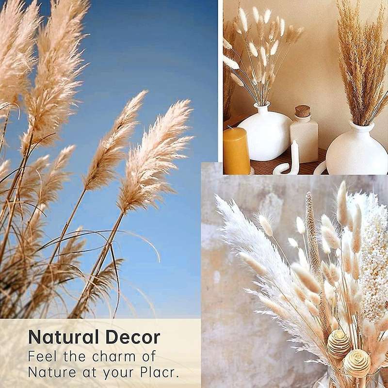 Pampas Grass Dried 46 Piece Set Dried Flowers, Pampas Grass