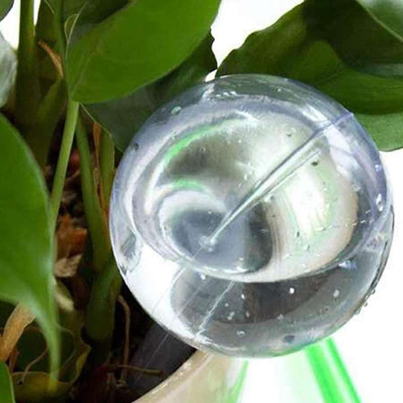 8 Pcs Plant Watering Bulbs Globes Flower Automatic Watering Device