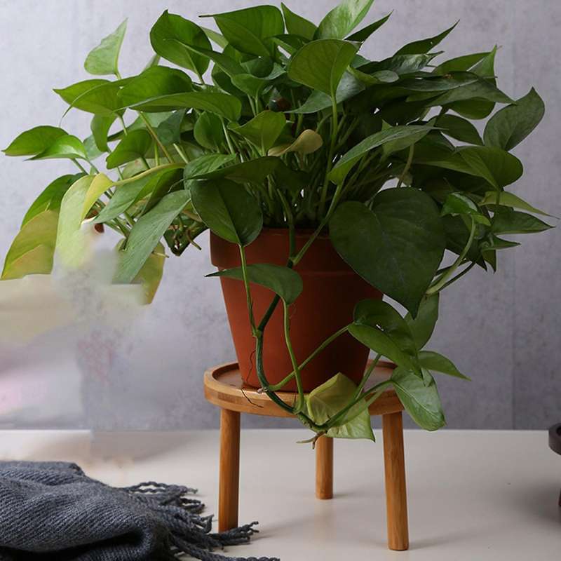 Wooden Plant Stand Flower Pot Base Holder Round for Indoor Outdoor