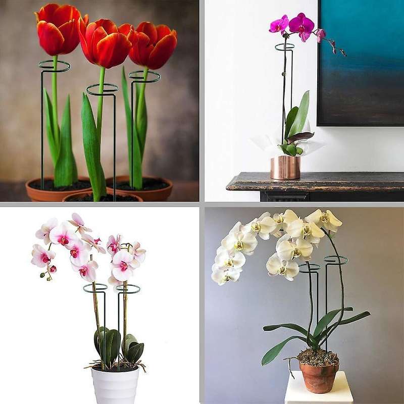5 Pack Garden Plant Support Stakes Single Stem Support Stake