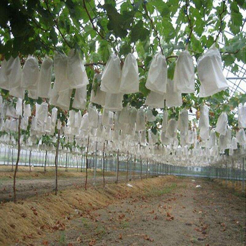 100pcs Garden Plant Fruit Cover Protect Net Mesh Bag Against Insect