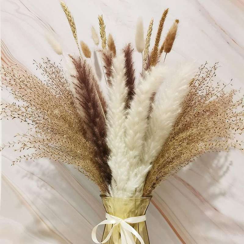 40pcs 17 Inch Pampas Grass Natural Dried Pampas Grass Decor