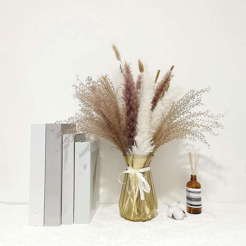 40pcs 17 Inch Pampas Grass Natural Dried Pampas Grass Decor