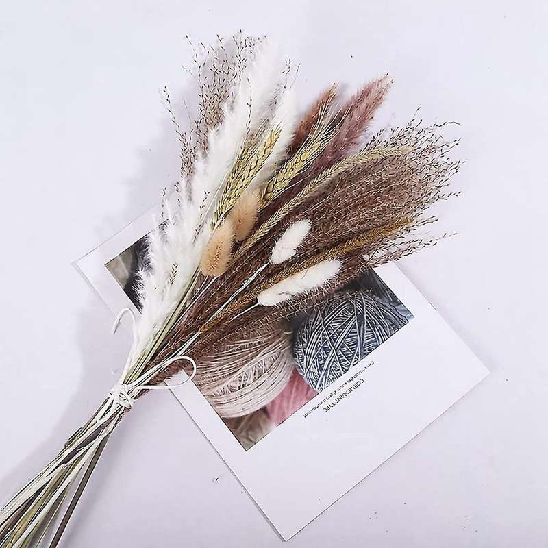 40pcs 17 Inch Pampas Grass Natural Dried Pampas Grass Decor