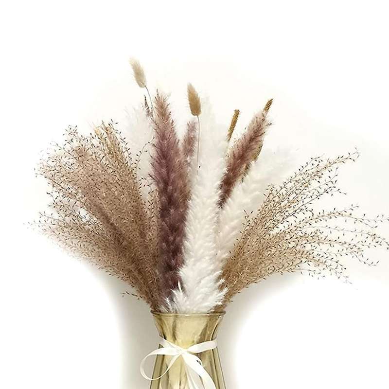 40pcs 17 Inch Pampas Grass Natural Dried Pampas Grass Decor