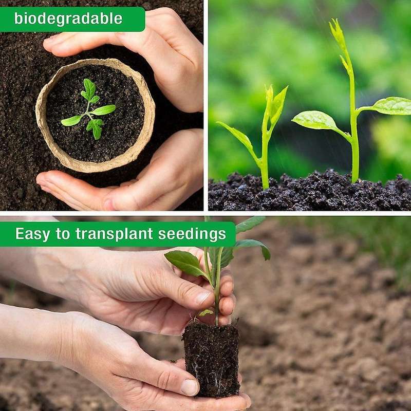 30 Pcs 3 Inch Biodegradable Plants Pots with Bonus 20 Plant Labels