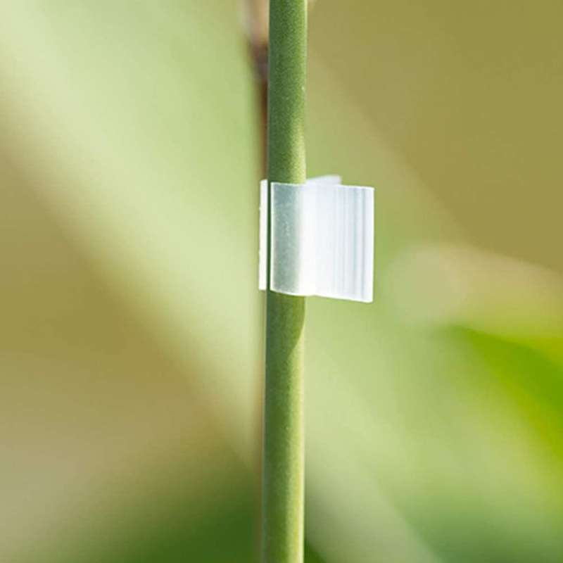 200pcs Caliber Plant Grafting Support Clips for Vine Beans 3mm