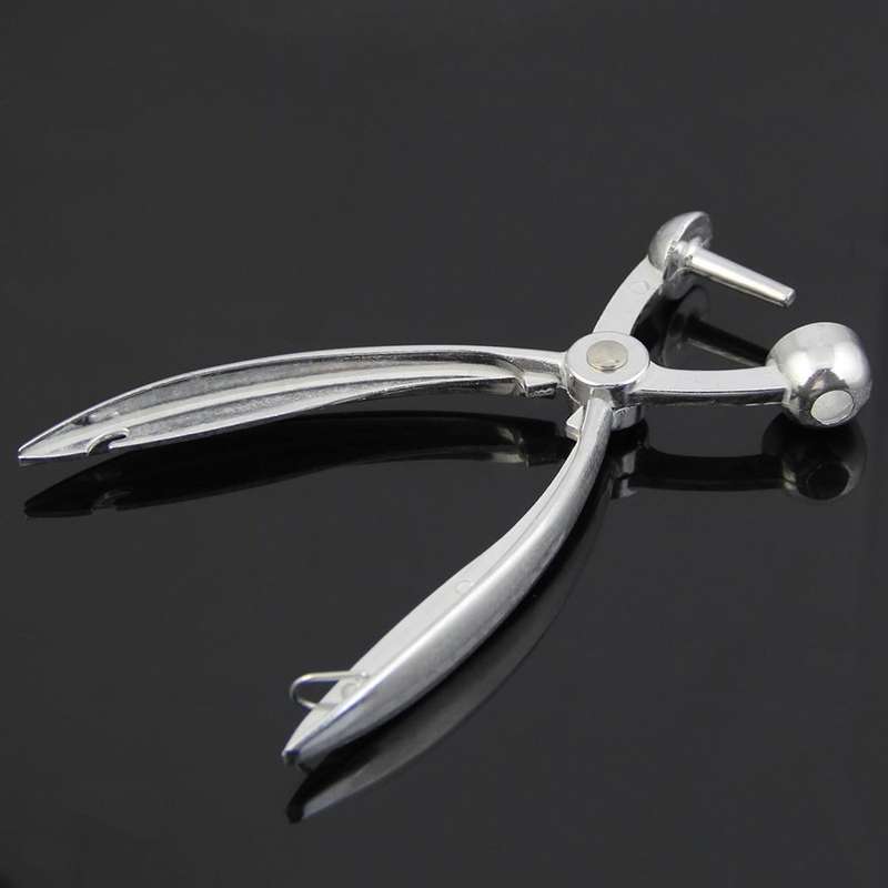 Aluminum Cherry Pitter 18*3.5cm(silver)