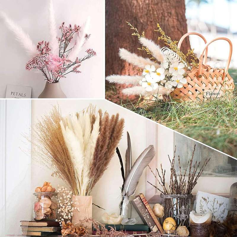 Dried Flowers Pampas Grass Decoration Bouquet for Table Home Decor