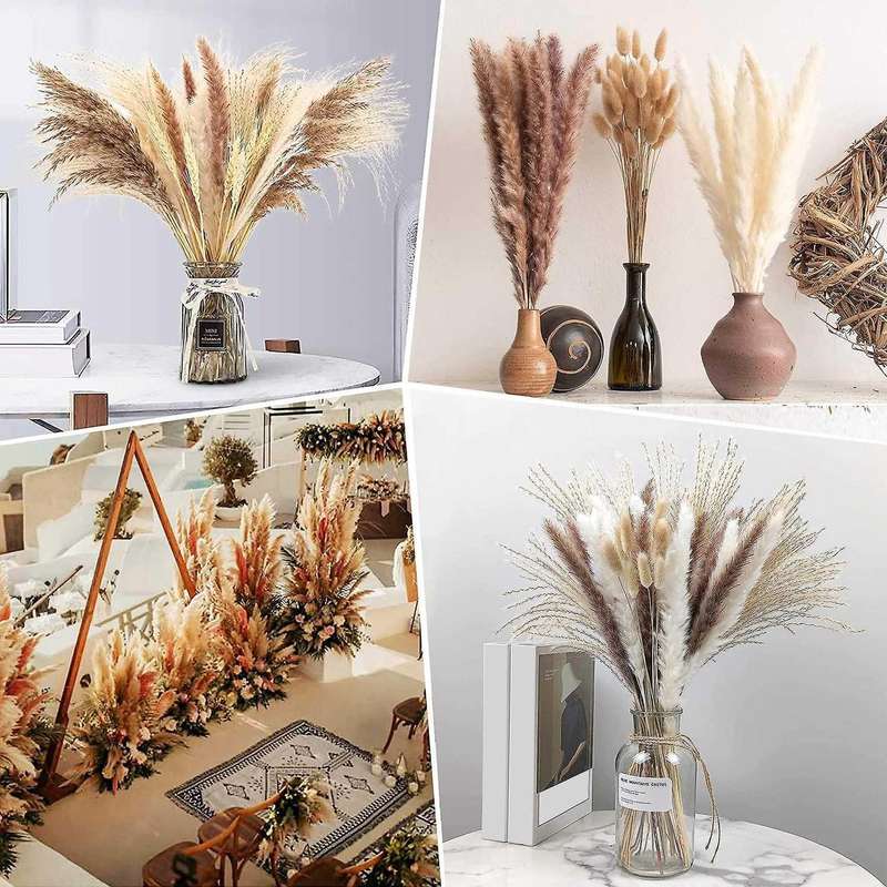 Dried Flowers Pampas Grass Decoration Bouquet for Table Home Decor