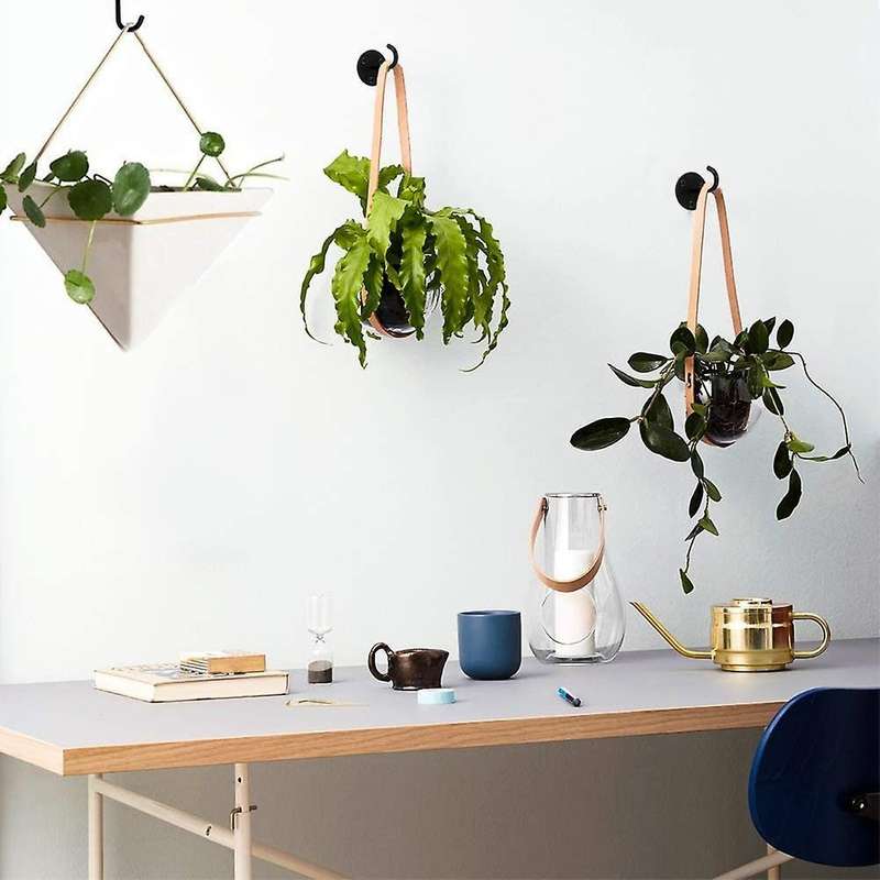 Ceiling Hooks for Plants Metal Hanger Lanterns Hangers for Hooks