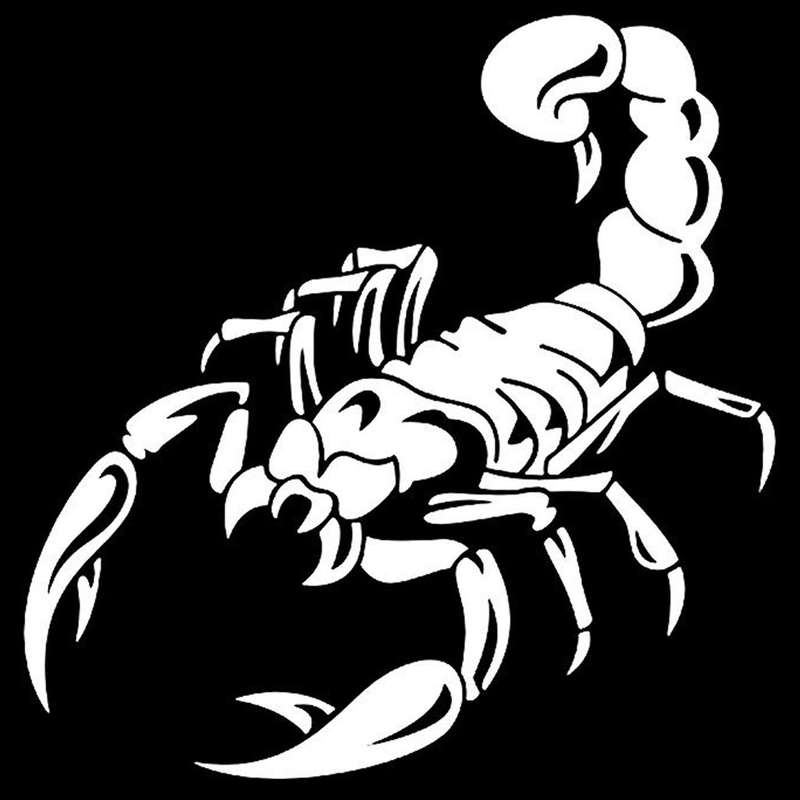 Car Decoration 3d Scorpion Decal Sticker Vinyl Sticker, White 40cm