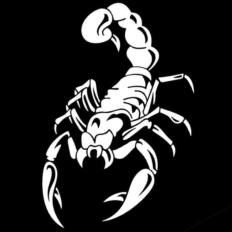 Car Decoration 3d Scorpion Decal Sticker Vinyl Sticker, White 40cm