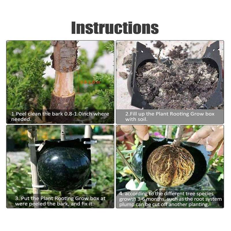 Damage Free Propagation Ball Botany Rooting Grafting Device Box