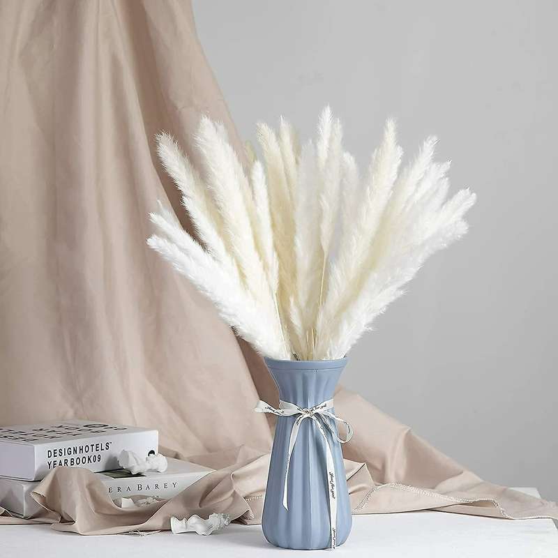 21.65 Inch Dried Pampas Grass 30 Pcs, Natural Home Decor & Perfect