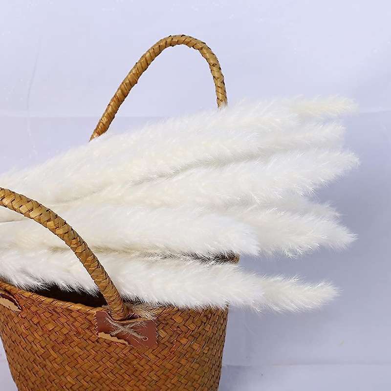 21.65 Inch Dried Pampas Grass 30 Pcs, Natural Home Decor & Perfect