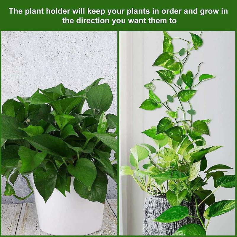 Plant Climbing Wall Fixture Clips Plant Fixer Wall Vines Fixing Clips