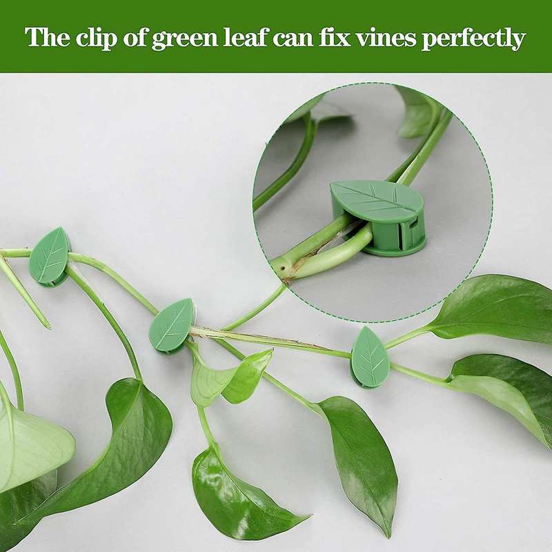 Plant Climbing Wall Fixture Clips Plant Fixer Wall Vines Fixing Clips