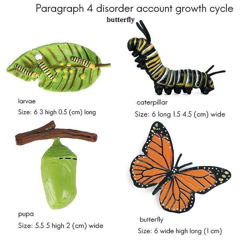 Simulation Life Cycle Of A Monarch Butterfly Growth Cycle Insect Toy