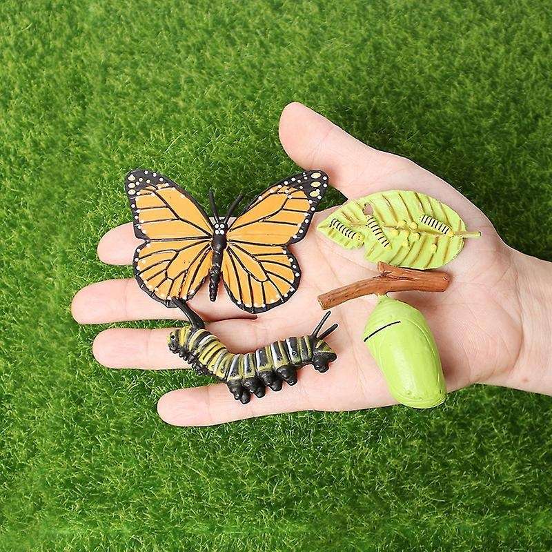 Simulation Life Cycle Of A Monarch Butterfly Growth Cycle Insect Toy