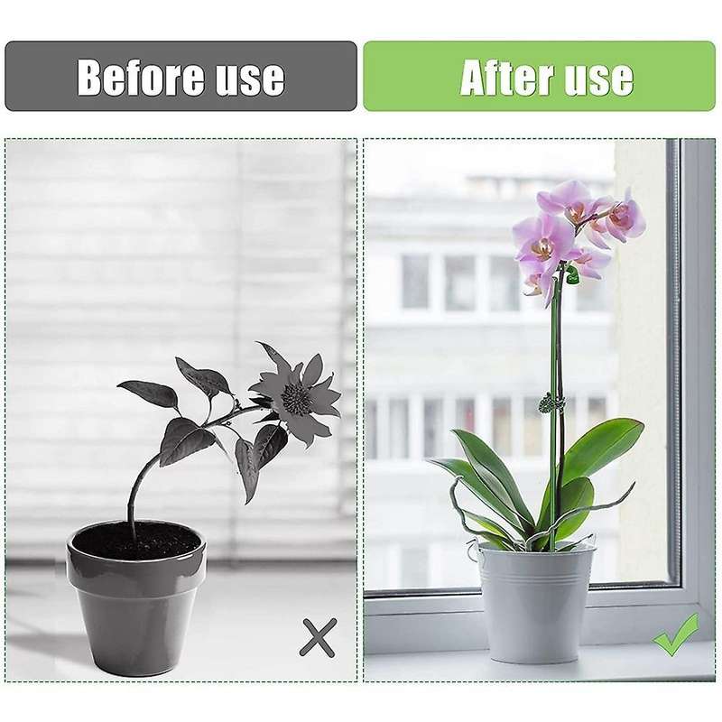 60pcs Plant Supports Set-20 Pack Flower Plant Stakes Sticks (3 Sizes)