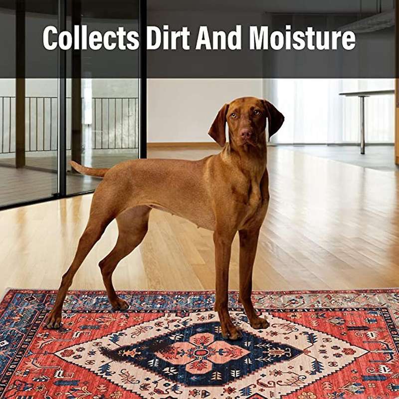 Indoor Door Mat Retro Indoor Floor Mat, Non Slip Dust Dirt Resist