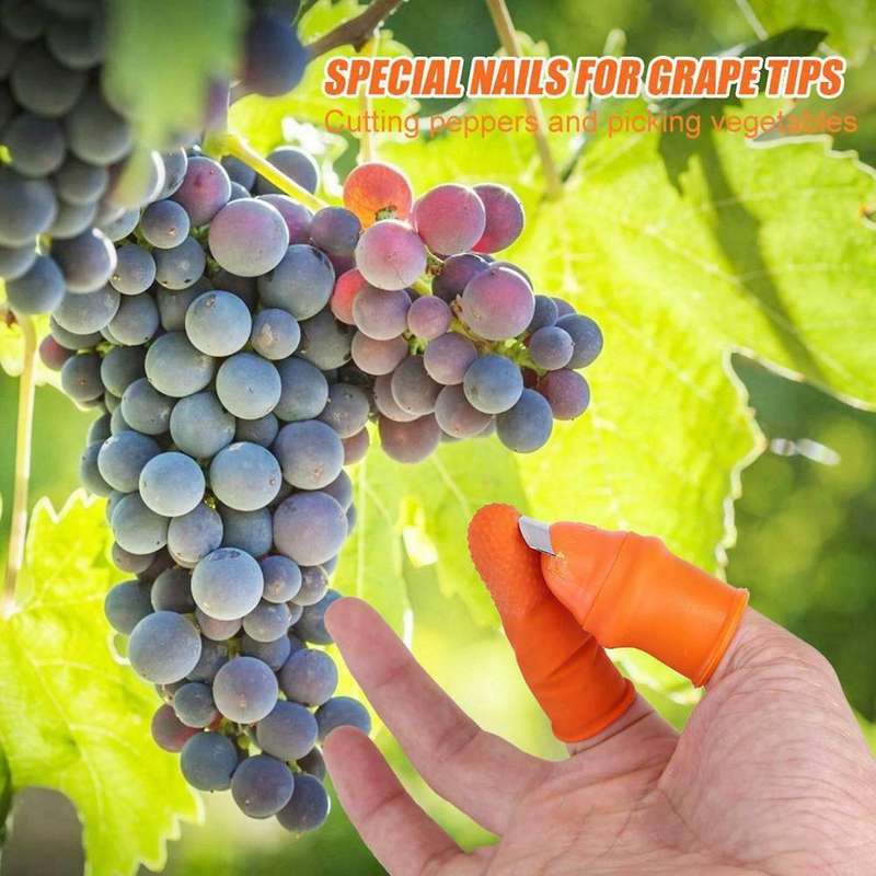Gardening Silicone Thumb Knife with Finger for Fruits Vege-s
