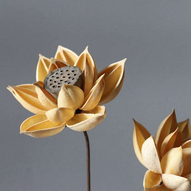2 Pcs Real Natural Dried Pressed Lotus Flower,decorative Handmade