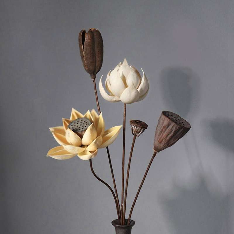 2 Pcs Real Natural Dried Pressed Lotus Flower,decorative Handmade