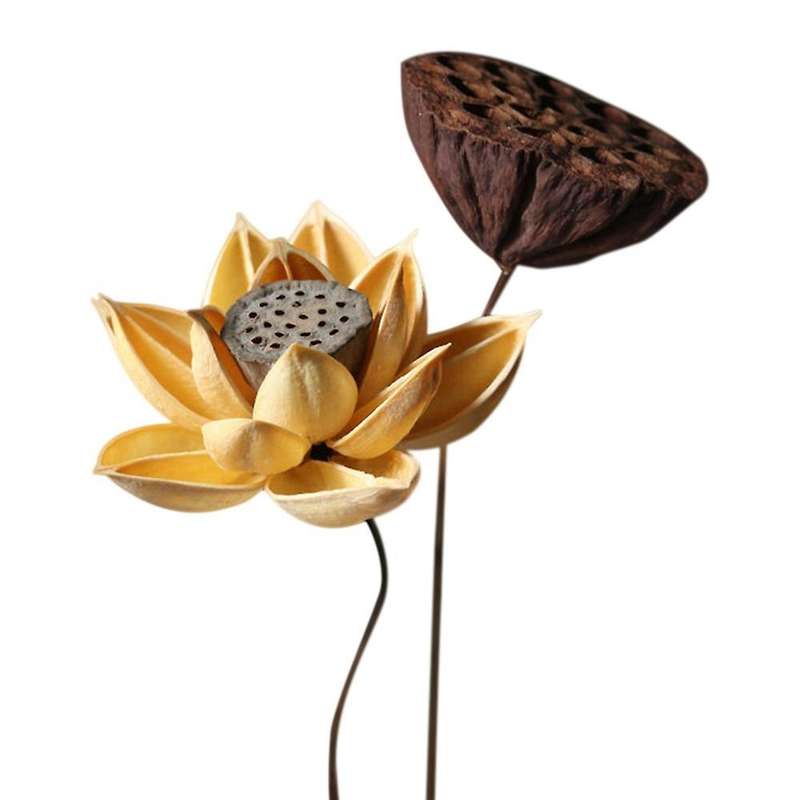2 Pcs Real Natural Dried Pressed Lotus Flower,decorative Handmade