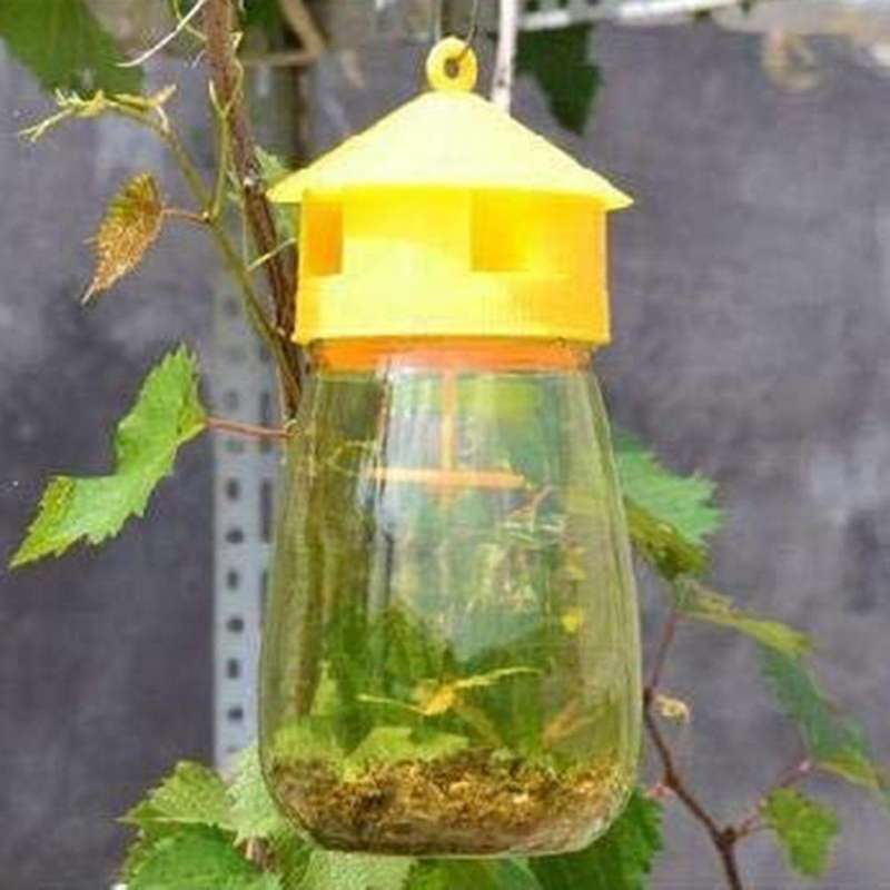 2 Pack Fly Reusable Traps, Fruit Fly Traps Fly Catcher Outdoor