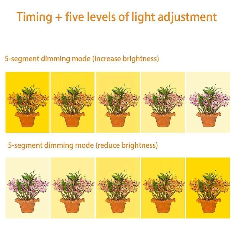 Led Grow Light Full Spectrum Phyto Grow Lamp Usb Lamp(sunshine)