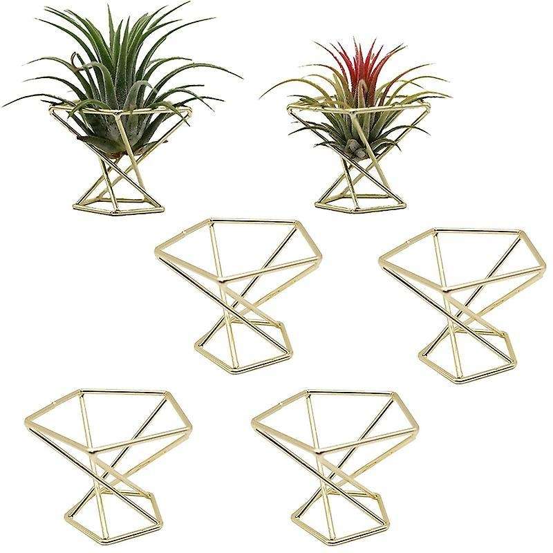 6 Pcs Geometric Air Plant Holder Airplants Rack Metal Plants Stand