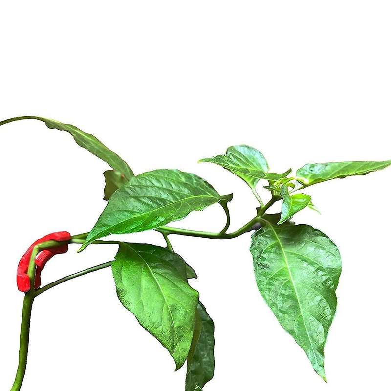 Hmg 90 Degree Plant Bender (35 Pack) for Low Stress Training (lst)