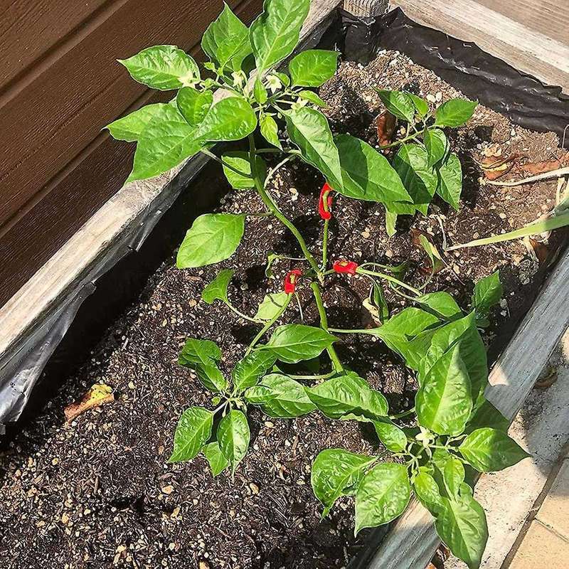 Hmg 90 Degree Plant Bender (35 Pack) for Low Stress Training (lst)