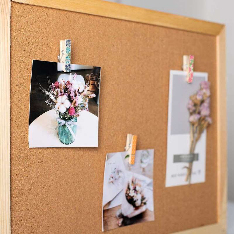 With Clips, 50pcs Thumbtacks Paper Clips for Cork Boards Notes