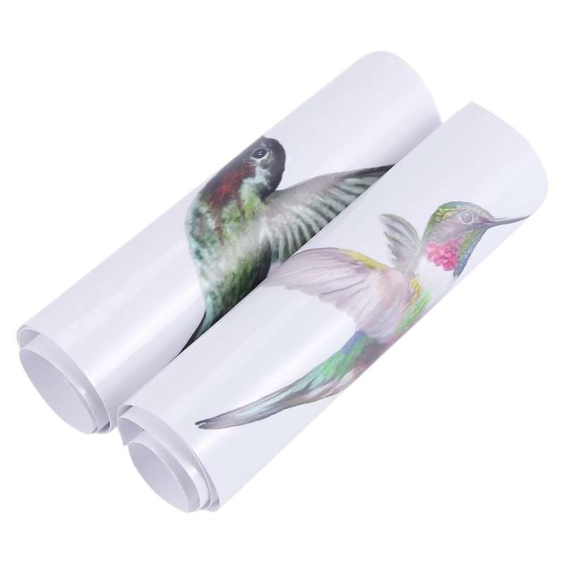 8 Large Beautiful Humming Bird Static Cling Window Stickers