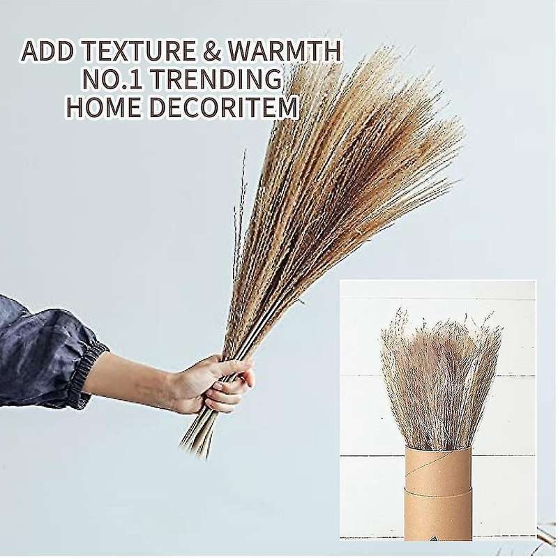 Dried Pampas Grass,for Flower Arrangements,wedding, Office,home Decor